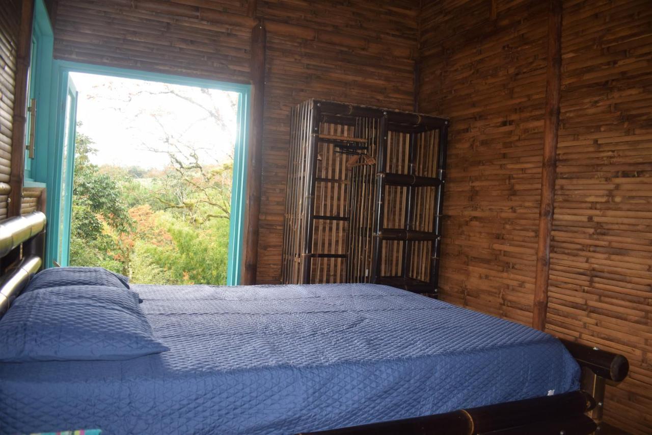 Vila Casa De Bambu Turrialba Exteriér fotografie