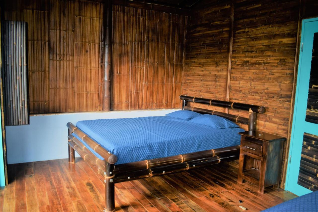 Vila Casa De Bambu Turrialba Exteriér fotografie