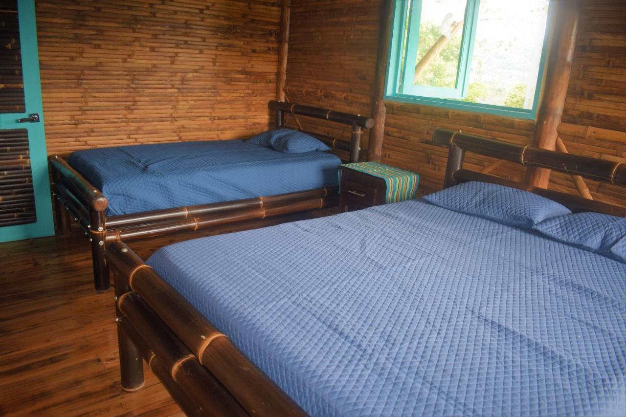 Vila Casa De Bambu Turrialba Exteriér fotografie
