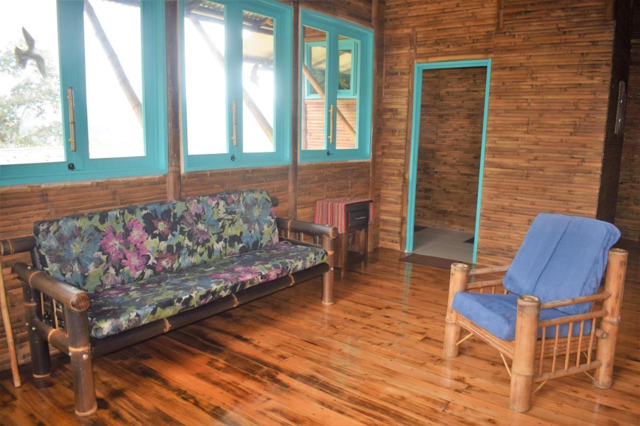 Vila Casa De Bambu Turrialba Exteriér fotografie