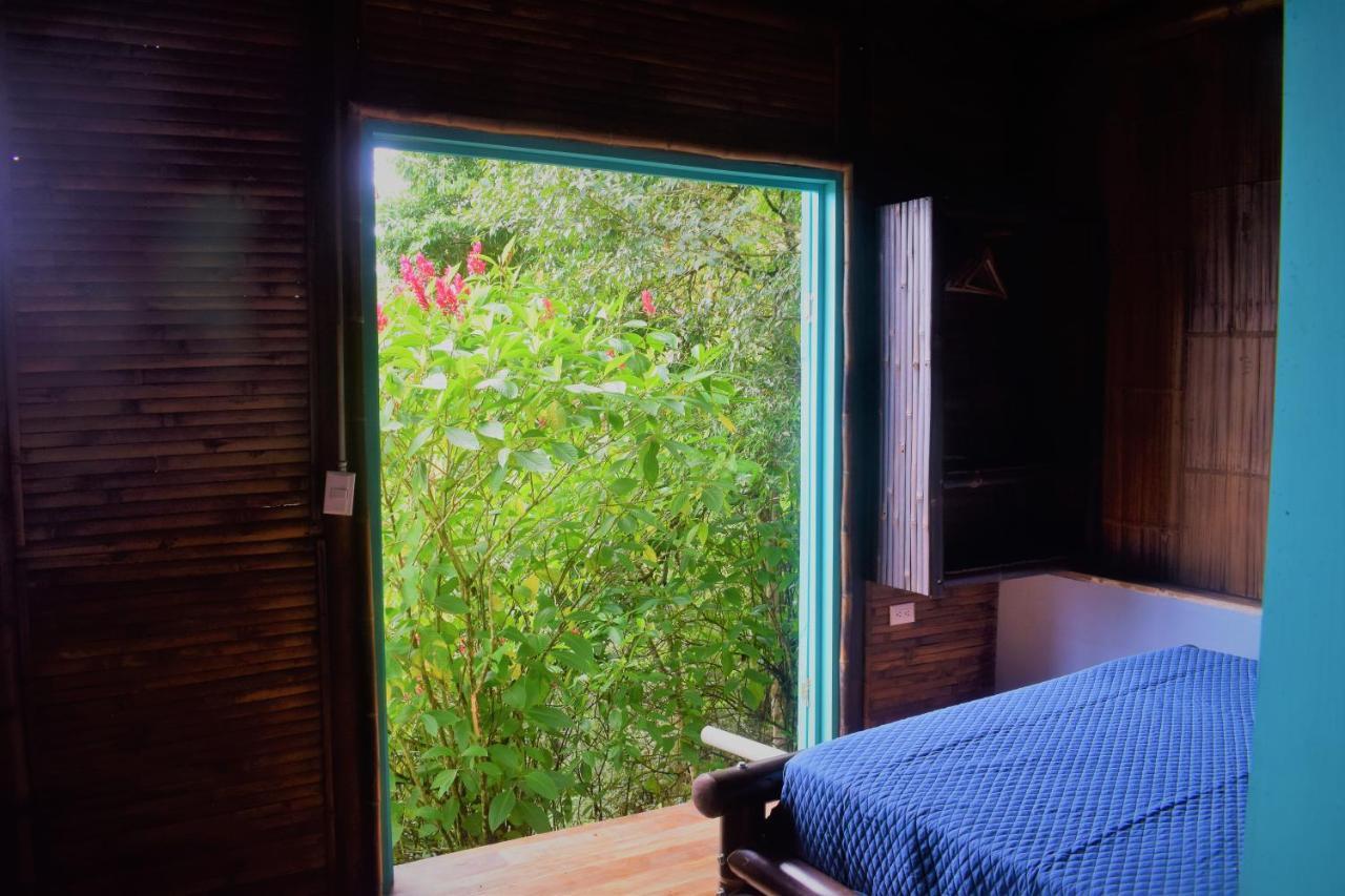 Vila Casa De Bambu Turrialba Exteriér fotografie