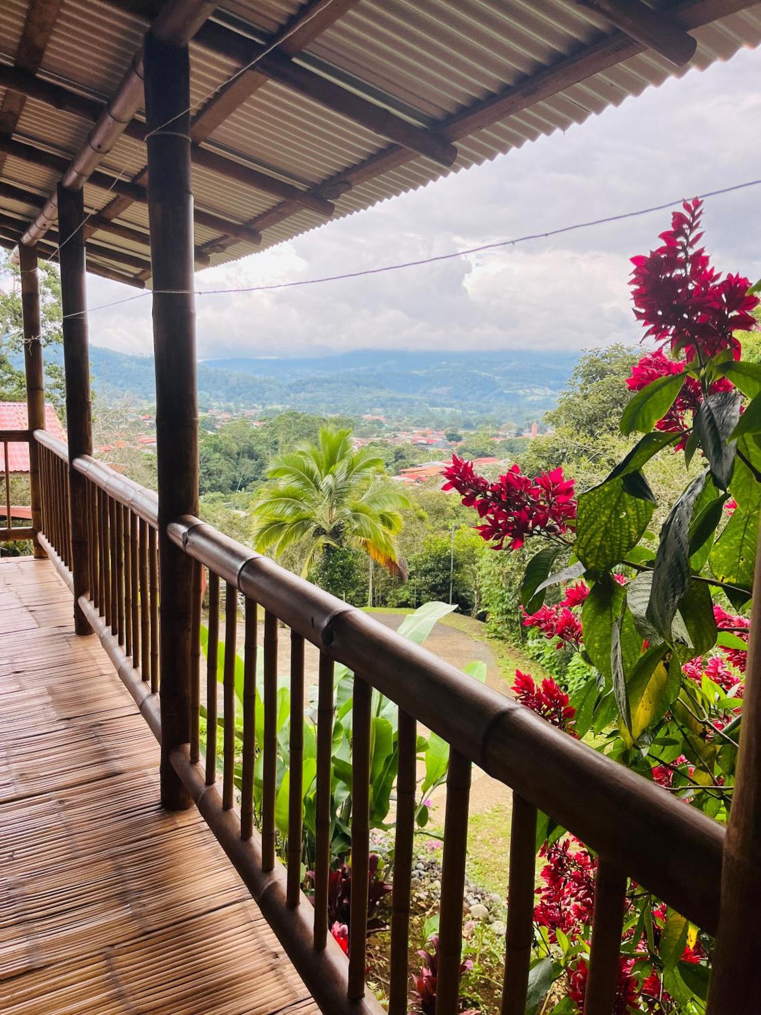 Vila Casa De Bambu Turrialba Exteriér fotografie